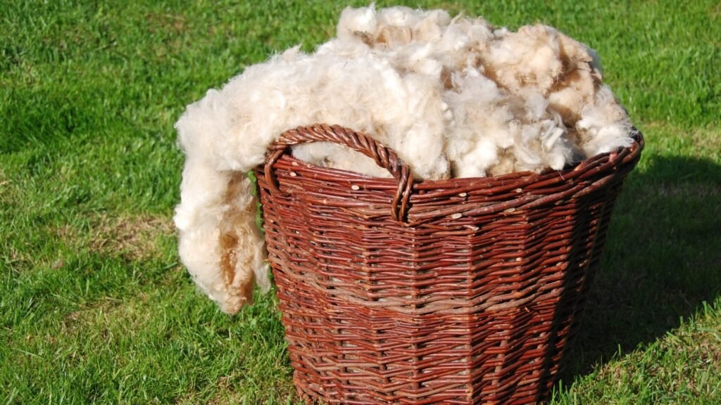 rugs material explained